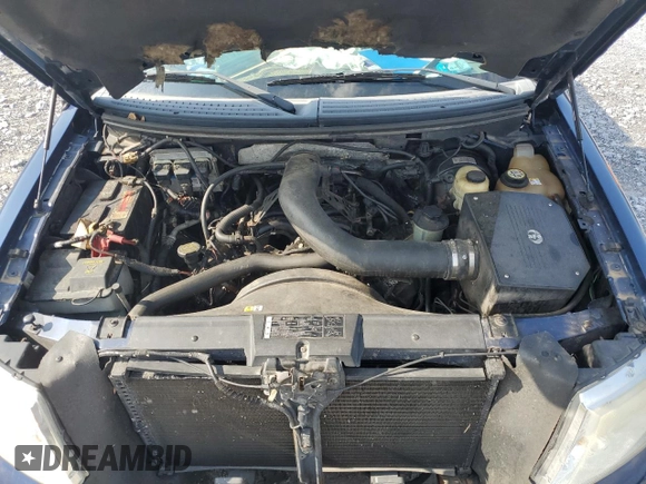 2007 Ford F-150 XLT z VIN 1FTPX14527NA63314, wystawiony jako Copart lot #63019603 z przebiegiem Nie podano mil oraz Szkoda całkowita • Salvage title. Historia ofert i sprzedaży dostępna na DreamBid. Obrazek 11.