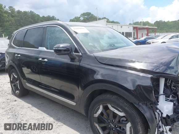 2025 Kia Telluride S with VIN 5XYP6DGC3SG612078, listed as a IAAI auction lot 42694686 with 12,167 mi miles and . Bid and sale history available at DreamBid. Image 12.