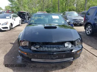 2008 Ford Mustang GT Deluxe with VIN 1ZVHT82H685173559, listed as a IAAI auction lot 42070328 with 143,636 mi miles and . Bid and sale history available at carsss.com. Image 12.