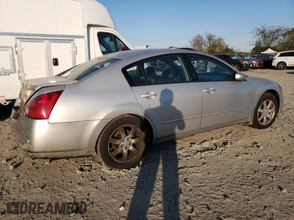 2004 Nissan Maxima SL with VIN 1N4BA41E34C864591, listed as a Copart auction lot 82774144 with Not Provided miles and Non Repairable. Bid and sale history available at DreamBid. Image 3.