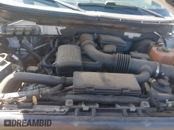2009 Ford F-150 XL with VIN 1FTPW14V49FB30463, listed as a IAAI auction lot 42603992 with 218,856 mi miles and . Bid and sale history available at DreamBid. Image 10.