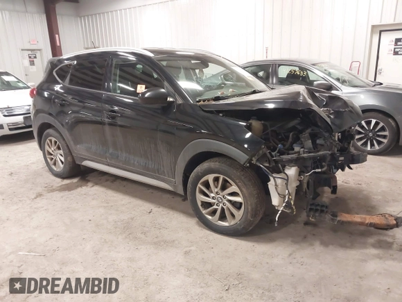 2017 Hyundai Tucson SE with VIN KM8J3CA42HU293608, listed as a IAAI auction lot 41228892 with 140,229 mi miles. Bid and sale history available at carsss.com. Image 1.
