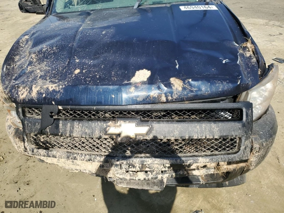 2007 Chevrolet Silverado 1500 Classic Work Truck with VIN 1GCEC14X17Z650388, listed as a Copart auction lot 46940164 with 0 mi miles and Salvage Title. Bid and sale history available at carsss.com. Image 12.