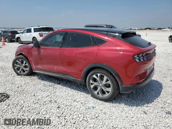 2021 Ford Mustang Mach-E Premium with VIN 3FMTK3SU5MMA48133, listed as a Copart auction lot 53602825 with 50,028 mi miles and Salvage Title. Bid and sale history available at DreamBid. Image 2.