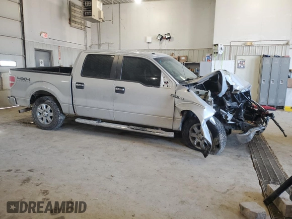 2014 Ford F-150 XL with VIN 1FTFW1EF7EKG45221, listed as a Copart auction lot 48869625 with 185,746 mi miles and Salvage Title. Bid and sale history available at carsss.com. Image 4.