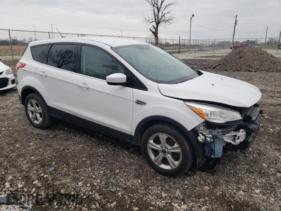 2014 Ford Escape SE with VIN 1FMCU0GX6EUA03906, listed as a Copart auction lot 50356845 with 101,852 mi miles and Salvage Title. Bid and sale history available at carsss.com. Image 4.