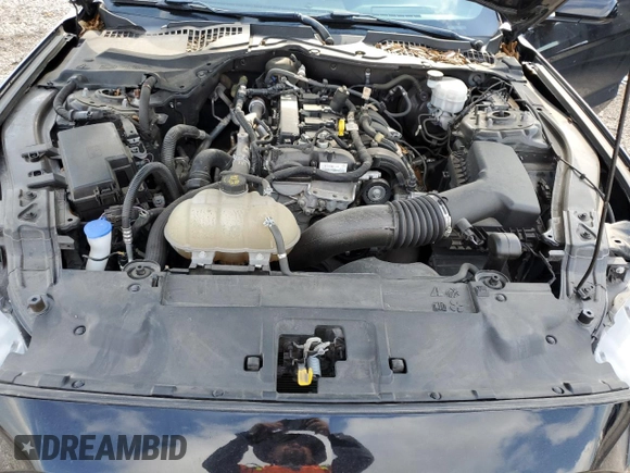 2021 Ford Mustang EcoBoost with VIN 1FA6P8THXM5102166, listed as a Copart auction lot 51295965 with 52,342 mi miles and Salvage Title. Bid and sale history available at carsss.com. Image 11.