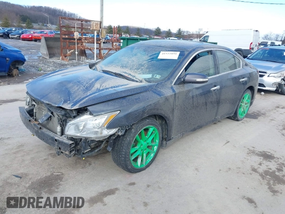 2011 Nissan Maxima SV with VIN 1N4AA5AP5BC809236, listed as a IAAI auction lot 41522891 with Not provided miles and . Bid and sale history available at DreamBid. Image 2.
