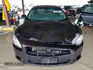 2010 Nissan Maxima SV with VIN 1N4AA5AP8AC841306, listed as a Copart auction lot 60698265 with 117,853 mi miles and Salvage title. Bid and sale history available at DreamBid. Image 5.