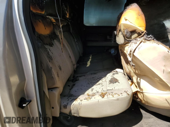 2010 Ford F-150 XL with VIN 1FTEW1C87AKA25821, listed as a Copart auction lot 49008285 with Not Provided miles and Salvage Title. Bid and sale history available at carsss.com. Image 10.