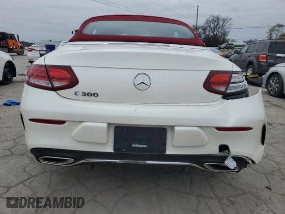2023 Mercedes-Benz C 300 with VIN W1KWK8DB9PG132874, listed as a Copart auction lot 80416294 with 10,334 mi miles and Salvage Title. Bid and sale history available at DreamBid. Image 6.