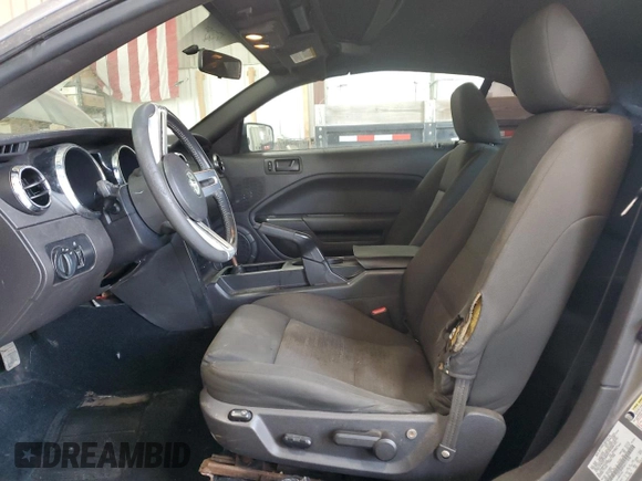 2006 Ford Mustang Standard with VIN 1ZVFT84N565111058, listed as a Copart auction lot 48254345 with Not Provided miles and Salvage Title. Bid and sale history available at carsss.com. Image 7.