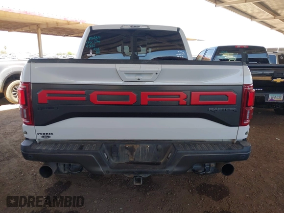 2017 Ford F-150 Raptor with VIN 1FTFW1RG7HFA84244, listed as a IAAI auction lot 42175442 with 123,009 mi miles and . Bid and sale history available at carsss.com. Image 16.