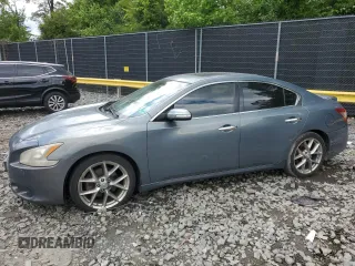 2010 Nissan Maxima SV with VIN 1N4AA5AP6AC817117, listed as a Copart auction lot 58308715 with 145,309 mi miles and Salvage title. Bid and sale history available at DreamBid. Image 1.
