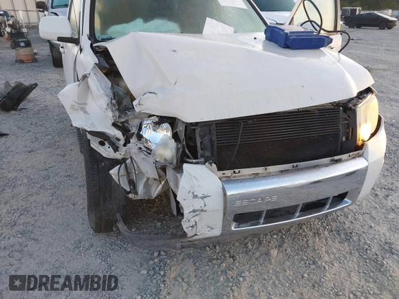 2010 Ford Escape Limited с VIN 1FMCU0EG5AKA43595, выставлен на аукционе IAAI как лот 40711908 с пробегом 196 267 миль миль и . История ставок и продаж доступна на DreamBid. Изображение 6.