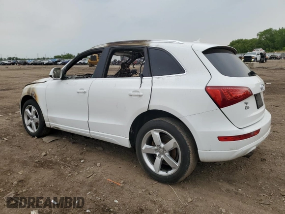 2011 Audi Q5 Premium Plus with VIN WA1LFAFP7BA032263, listed as a Copart auction lot 58926275 with Not provided miles and Salvage title. Bid and sale history available at DreamBid. Image 2.