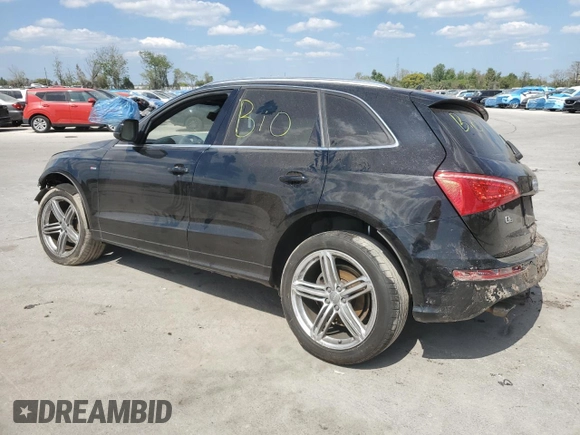 2010 Audi Q5 Prestige with VIN WA1WKBFP8AA042488, listed as a Copart auction lot 48786155 with Not provided miles and Salvage title. Bid and sale history available at DreamBid. Image 2.