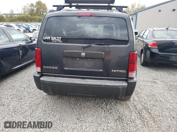 2010 Dodge Nitro SE with VIN 1D4PU2GK3AW146299, listed as a Copart auction lot 76261334 with 140,721 mi miles and Salvage Title. Bid and sale history available at DreamBid. Image 6.