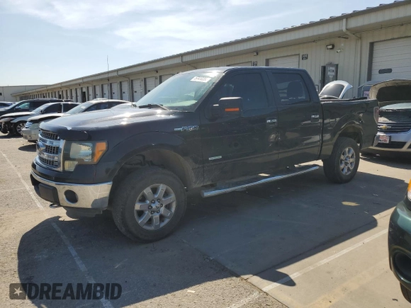 2013 Ford F-150 XL with VIN 1FTFW1ET3DFD77071, listed as a Copart auction lot 57410395 with 145,446 mi miles and Salvage title. Bid and sale history available at DreamBid. Image 1.