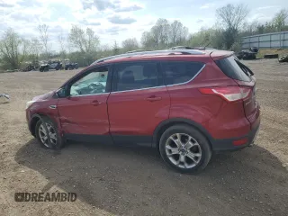 2014 Ford Escape Titanium with VIN 1FMCU9J94EUE49129, listed as a Copart auction lot 54357125 with 205,519 mi miles and Salvage Title. Bid and sale history available at carsss.com. Image 2.