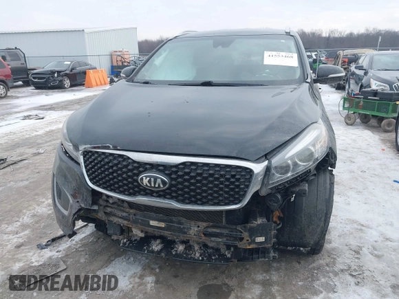 2017 Kia Sorento LX with VIN 5XYPGDA33HG288273, listed as a IAAI auction lot 41553468 with 116,362 mi miles. Bid and sale history available at carsss.com. Image 13.