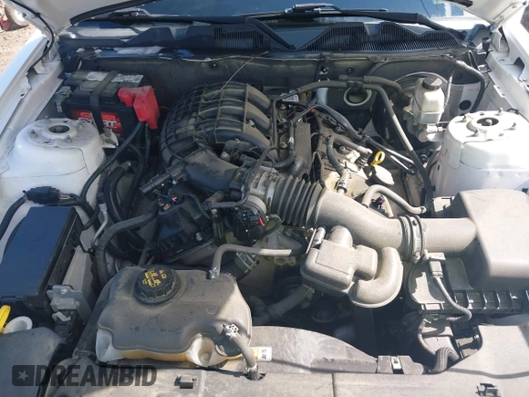 2013 Ford Mustang V6 with VIN 1ZVBP8AMXD5281234, listed as a IAAI auction lot 42260113 with 124,188 mi miles and . Bid and sale history available at DreamBid. Image 10.