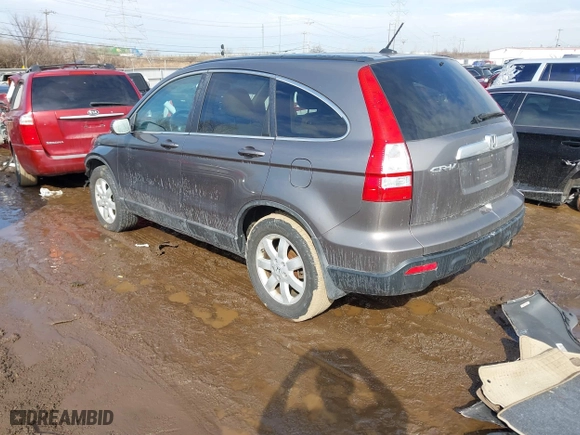 2009 Honda CR-V EX-L with VIN 5J6RE38729L018033, listed as a IAAI auction lot 41667344 with 178,482 mi miles. Bid and sale history available at carsss.com. Image 3.
