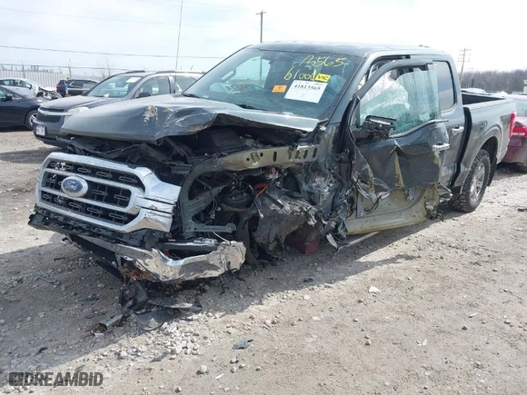 2021 Ford F-150 XL with VIN 1FTFW1E86MKD80565, listed as a IAAI auction lot 41813565 with 1 mi miles. Bid and sale history available at carsss.com. Image 2.