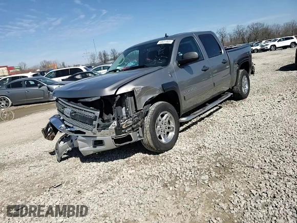 2013 Chevrolet Silverado 1500 LT with VIN 3GCPKSE73DG138532, listed as a Copart auction lot 49651805 with 166,030 mi miles and Salvage Title. Bid and sale history available at DreamBid. Image 11.