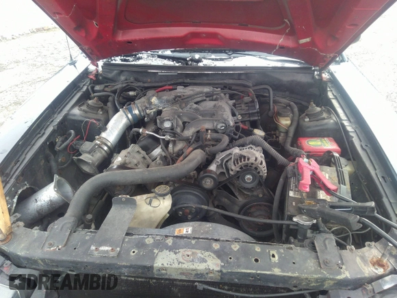 2003 Ford Mustang Standard with VIN 1FAFP40473F313103, listed as a IAAI auction lot 35721795 with 202,013 mi miles and . Bid and sale history available at DreamBid. Image 10.