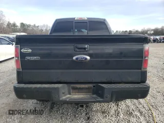2013 Ford F-150 XL with VIN 1FTFW1ET6DKF08260, listed as a Copart auction lot 42494635 with 252,331 mi miles and Salvage Title. Bid and sale history available at carsss.com. Image 6.