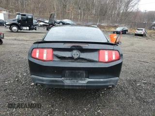 2010 Ford Mustang GT with VIN 1ZVBP8CH7A5112168, listed as a Copart auction lot 49946145 with Not Provided miles and Salvage Title. Bid and sale history available at carsss.com. Image 6.