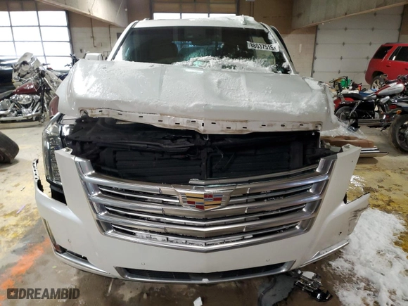 2017 Cadillac Escalade Platinum with VIN 1GYS4DKJ7HR387478, listed as a Copart auction lot 88037515 with 0 mi miles and Salvage Title. Bid and sale history available at carsss.com. Image 5.