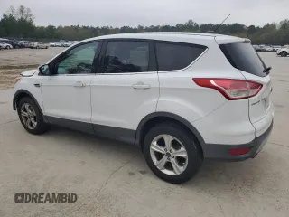 2014 Ford Escape SE with VIN 1FMCU9GX8EUA54151, listed as a Copart auction lot 51424195 with 173,161 mi miles and Salvage title. Bid and sale history available at DreamBid. Image 2.