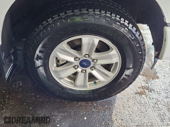 2017 Ford F-150 XL with VIN 1FTEX1EP3HKC76119, listed as a IAAI auction lot 42844369 with 193,396 mi miles and . Bid and sale history available at DreamBid. Image 4.