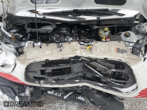 2019 Ford Transit with VIN 1FDYR2CMXKKA94961, listed as a Copart auction lot 44216665 with 219,515 mi miles and Salvage Title. Bid and sale history available at DreamBid. Image 12.