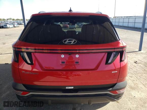 2023 Hyundai Tucson SEL with VIN 5NMJBCAE0PH216547, listed as a Copart auction lot 51950245 with 53,890 mi miles and Salvage Title. Bid and sale history available at carsss.com. Image 6.