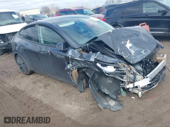 2025 Tesla Model Y Long Range with VIN 7SAYGDED3SF229605, listed as a IAAI auction lot 41726254 with Not Provided miles and . Bid and sale history available at DreamBid. Image 1.