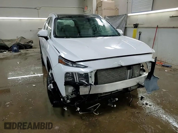 2022 Hyundai Santa Fe Limited with VIN 5NMS4DAL7NH416275, listed as a Copart auction lot 44754625 with 28,066 mi miles and Salvage Title. Bid and sale history available at carsss.com. Image 14.