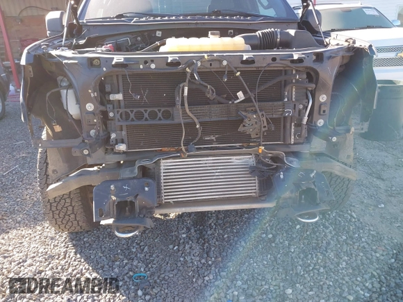 2017 Ford F-150 XL with VIN 1FTEX1EP2HFA30879, listed as a IAAI auction lot 41027941 with 54,480 mi miles. Bid and sale history available at carsss.com. Image 20.
