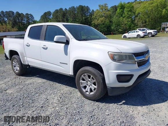 2017 Chevrolet Colorado 2WD LT with VIN 1GCGSCEA6H1145867, listed as a IAAI auction lot 42065316 with 176,874 mi miles and . Bid and sale history available at DreamBid. Image 1.