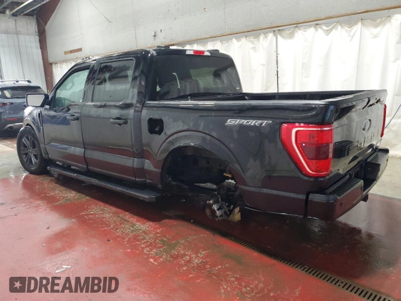 2023 Ford F-150 XL with VIN 1FTEW1C58PFC29051, listed as a Copart auction lot 51284705 with Not Provided miles and Non Repairable. Bid and sale history available at DreamBid. Image 2.