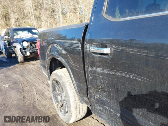 2017 Ford F-150 XL with VIN 1FTEW1EGXHFB14984, listed as a IAAI auction lot 41546709 with 132,132 mi miles. Bid and sale history available at carsss.com. Image 17.