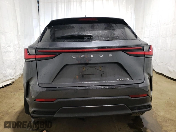 2023 Lexus NX with VIN 2T2GDCAZXPC003713, listed as a Copart auction lot 76096024 with 52,622 mi miles and Clean Title. Bid and sale history available at carsss.com. Image 6.
