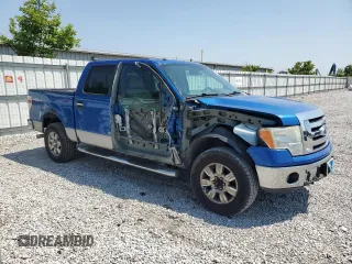 2009 Ford F-150 XL z VIN 1FTPW14V39FA64116, wystawiony jako Copart lot #59893095 z przebiegiem 215 382 mil mil oraz Szkoda całkowita • Salvage title. Historia ofert i sprzedaży dostępna na DreamBid. Obrazek 4.