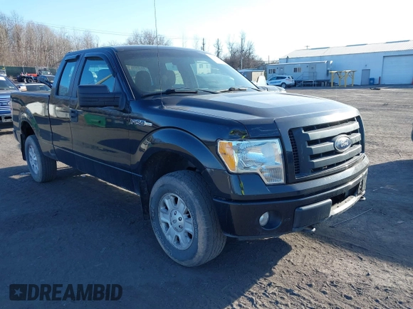 2010 Ford F-150 XL with VIN 1FTEX1EW2AFD38194, listed as a IAAI auction lot 41773805 with 143,313 mi miles. Bid and sale history available at carsss.com. Image 1.