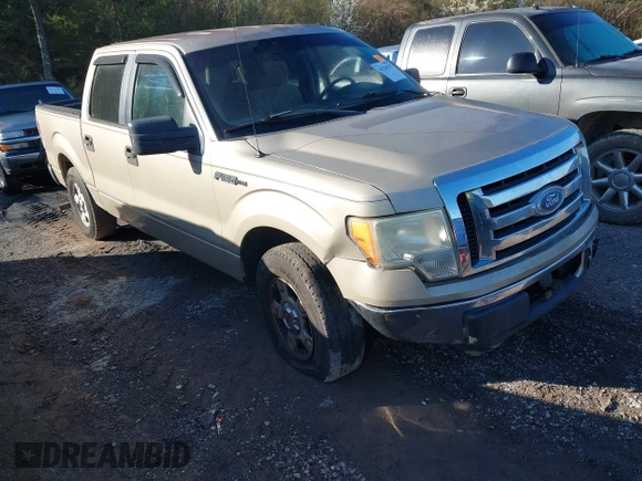 2010 Ford F-150 XL with VIN 1FTEW1C88AFA10043, listed as a IAAI auction lot 41764767 with 222,301 mi miles. Bid and sale history available at carsss.com. Image 1.