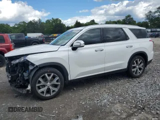 2022 Hyundai Palisade SEL with VIN KM8R44HE2NU450313, listed as a Copart auction lot 58913695 with 53,351 mi miles and Salvage title. Bid and sale history available at DreamBid. Image 1.