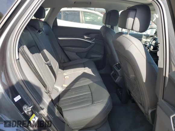2019 Audi e-tron Premium Plus with VIN WA1LAAGEXKB015138, listed as a Copart auction lot 48853815 with 35,816 mi miles and Salvage title. Bid and sale history available at DreamBid. Image 11.