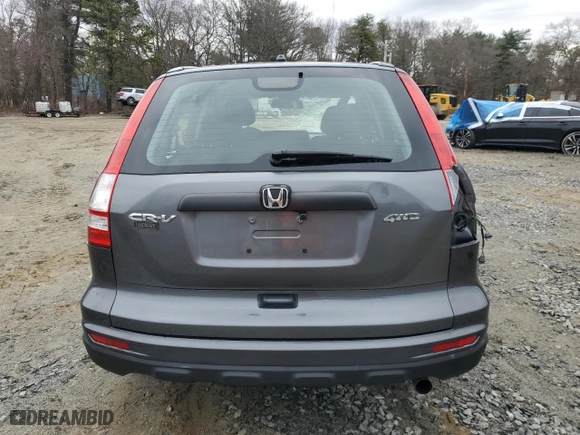 2010 Honda CR-V LX with VIN 5J6RE4H34AL023340, listed as a Copart auction lot 50513605 with 123,459 mi miles and Clean Title. Bid and sale history available at carsss.com. Image 6.